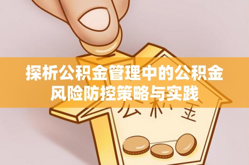 延平探析公积金管理中的公积金风险防控策略与实践