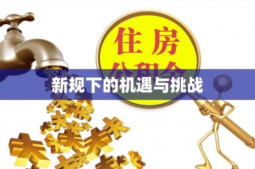延平新规下的机遇与挑战