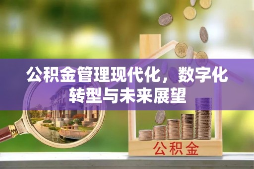 延平公积金管理现代化，数字化转型与未来展望