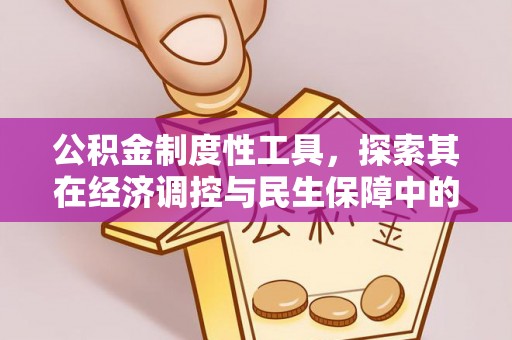 延平公积金制度性工具，探索其在经济调控与民生保障中的重要作用