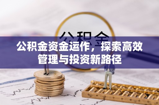 延平公积金资金运作，探索高效管理与投资新路径