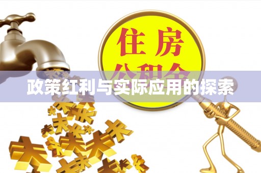 延平政策红利与实际应用的探索