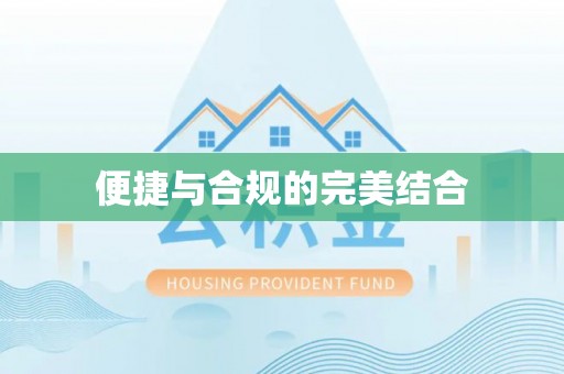 延平便捷与合规的完美结合