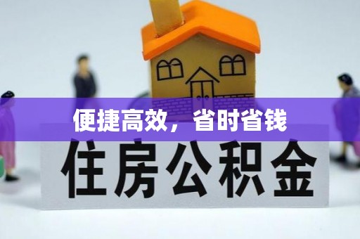 延平便捷高效，省时省钱