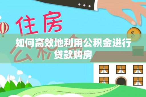 延平如何高效地利用公积金进行贷款购房