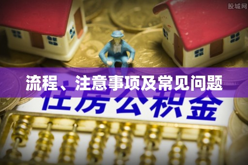 延平流程、注意事项及常见问题