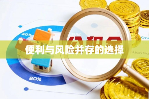 延平便利与风险并存的选择