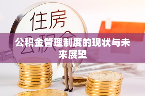 延平公积金管理制度的现状与未来展望
