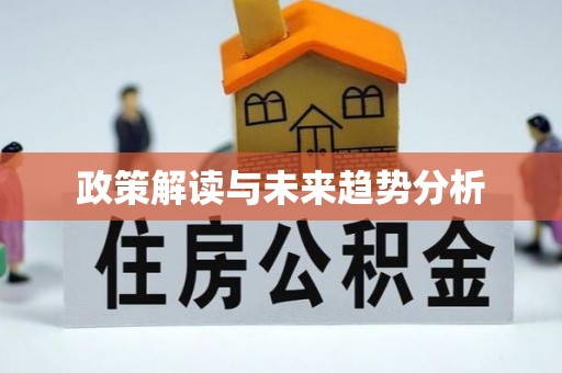 延平政策解读与未来趋势分析