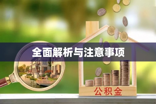 延平全面解析与注意事项
